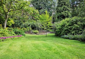 Optimiser l'expérience du jardin à Villers-Faucon